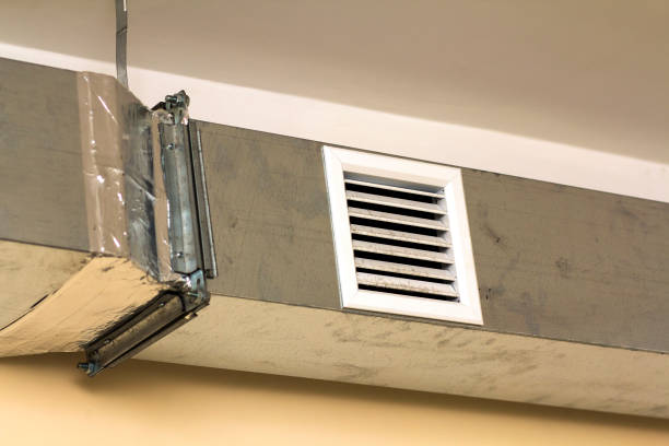 Best Home Air Vent Cleaning  in Warm Mineral Springs, FL